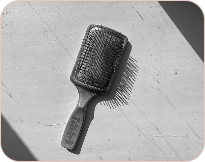 Hair brush